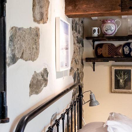 Bwthyn Capten - A Charming Cottage For Up To 6 Newport (Pembrokeshire) Exterior foto